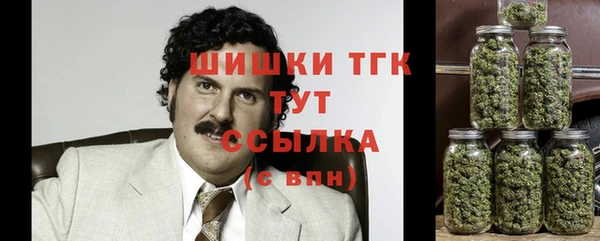 стаф Аркадак