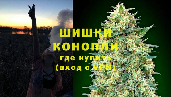 стаф Аркадак