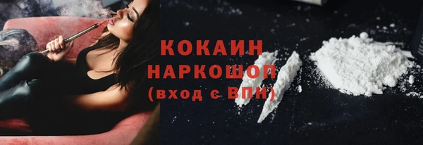 стаф Аркадак