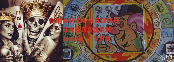 стаф Аркадак