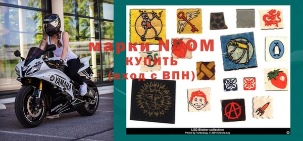 стаф Аркадак
