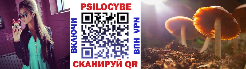 сколько стоит  Сортавала  Галлюциногенные грибы ЛСД 